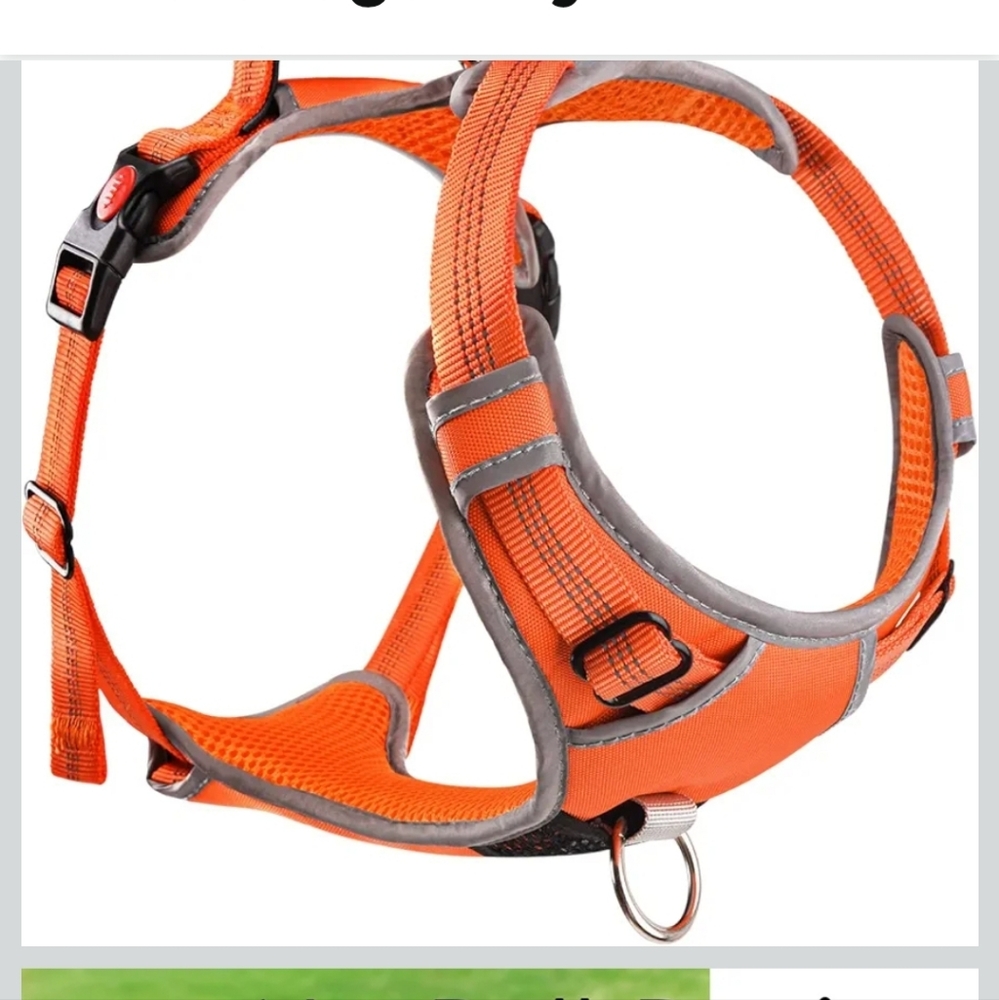 Vibrant Orange No-Pull Dog Harness